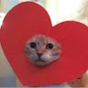 Meet your Posher, Jade